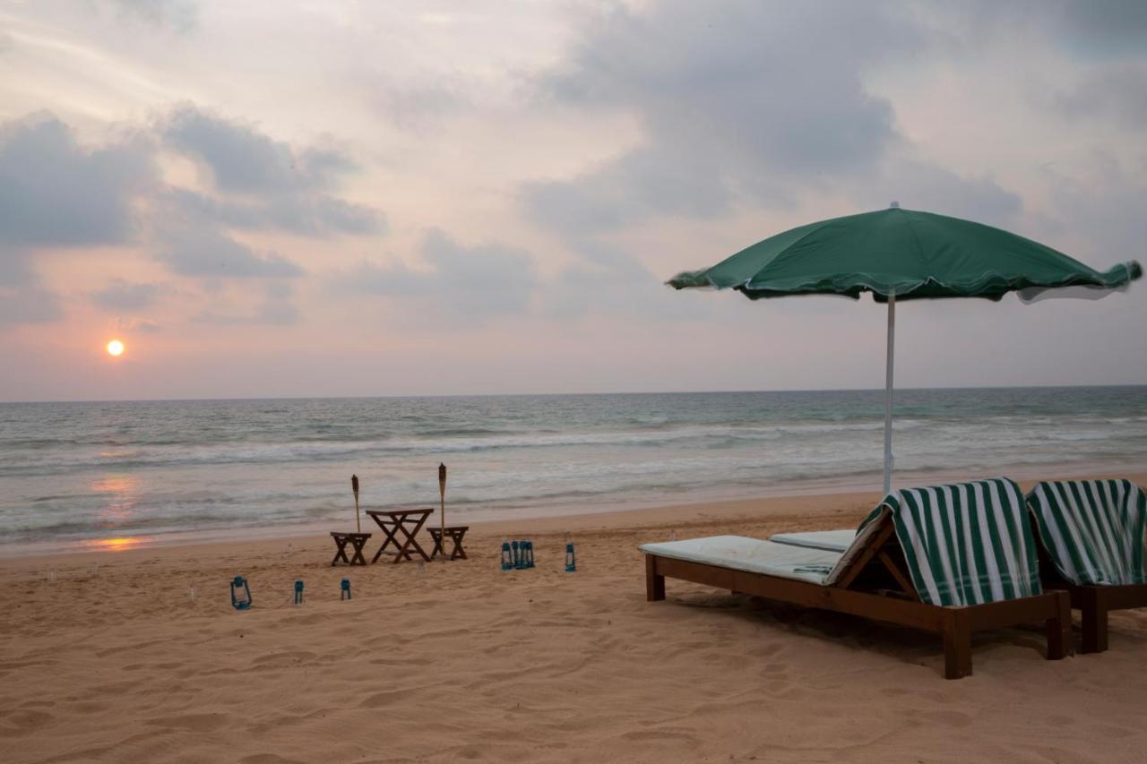 Palm Beach Inn & Sea Shells Cabanas Bentota Exteriér fotografie