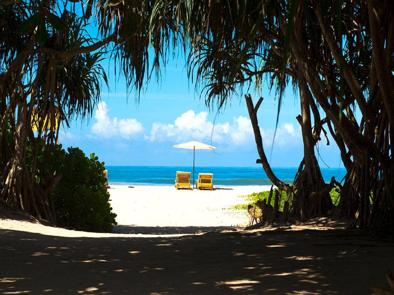 Palm Beach Inn & Sea Shells Cabanas Bentota Exteriér fotografie