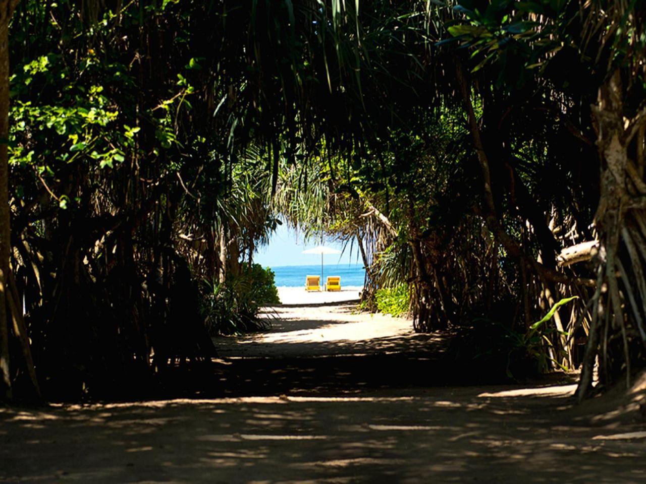 Palm Beach Inn & Sea Shells Cabanas Bentota Exteriér fotografie